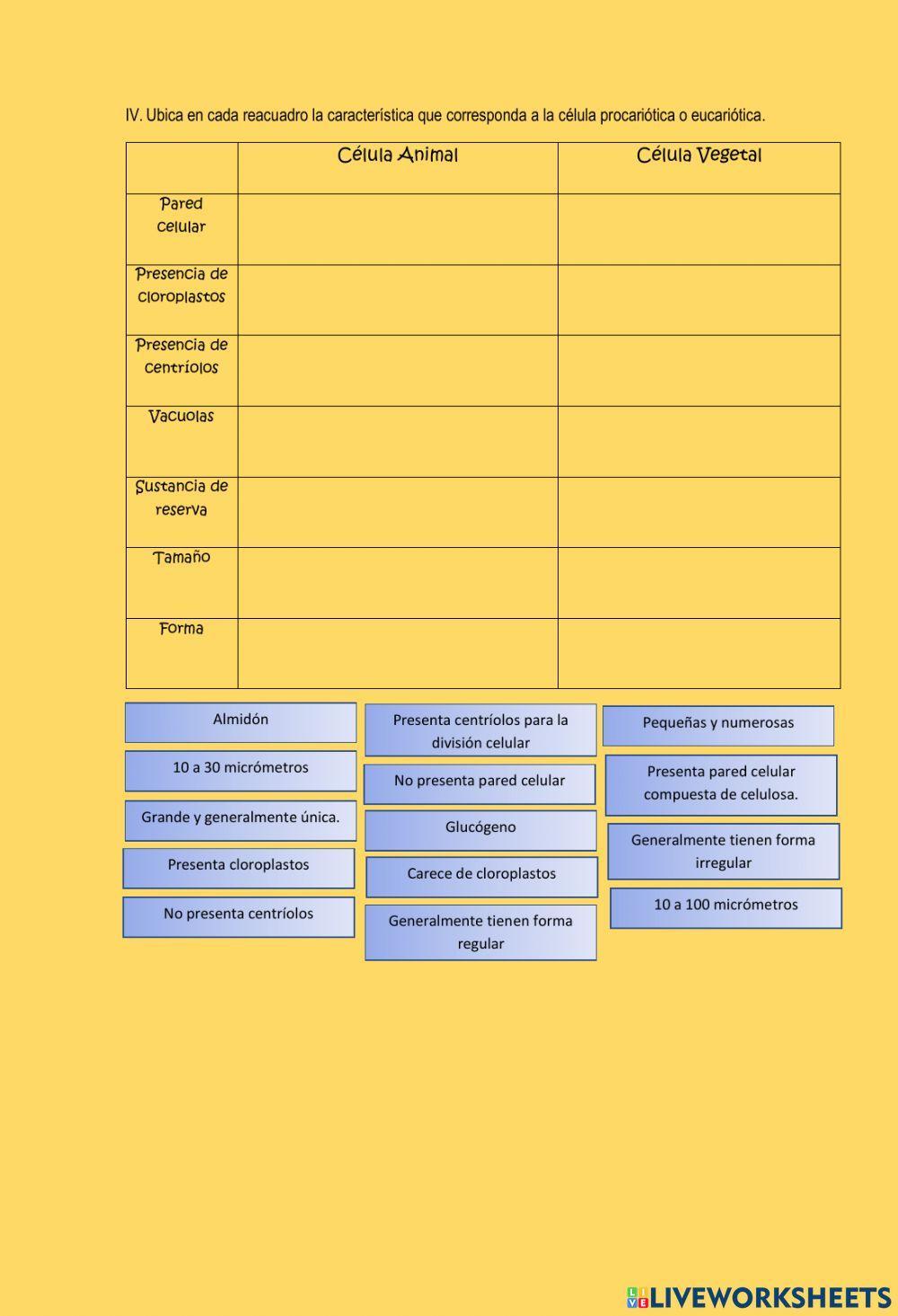 Teoría celular y tipos de células