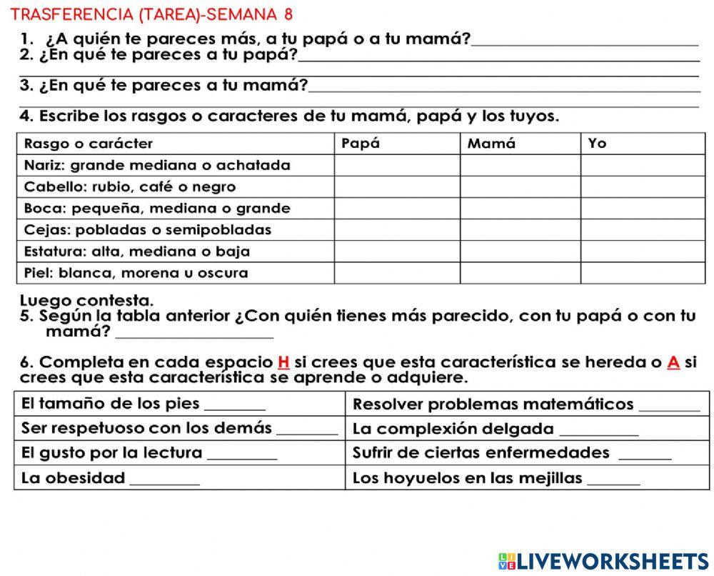 C.N-Transferencia Semana 8