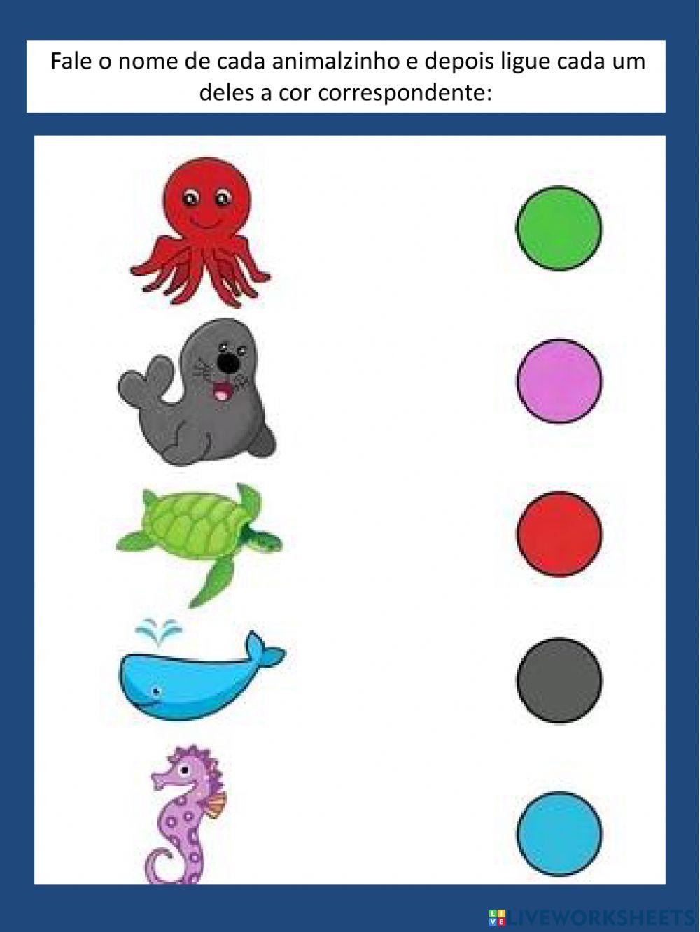 Conhecendo os animais