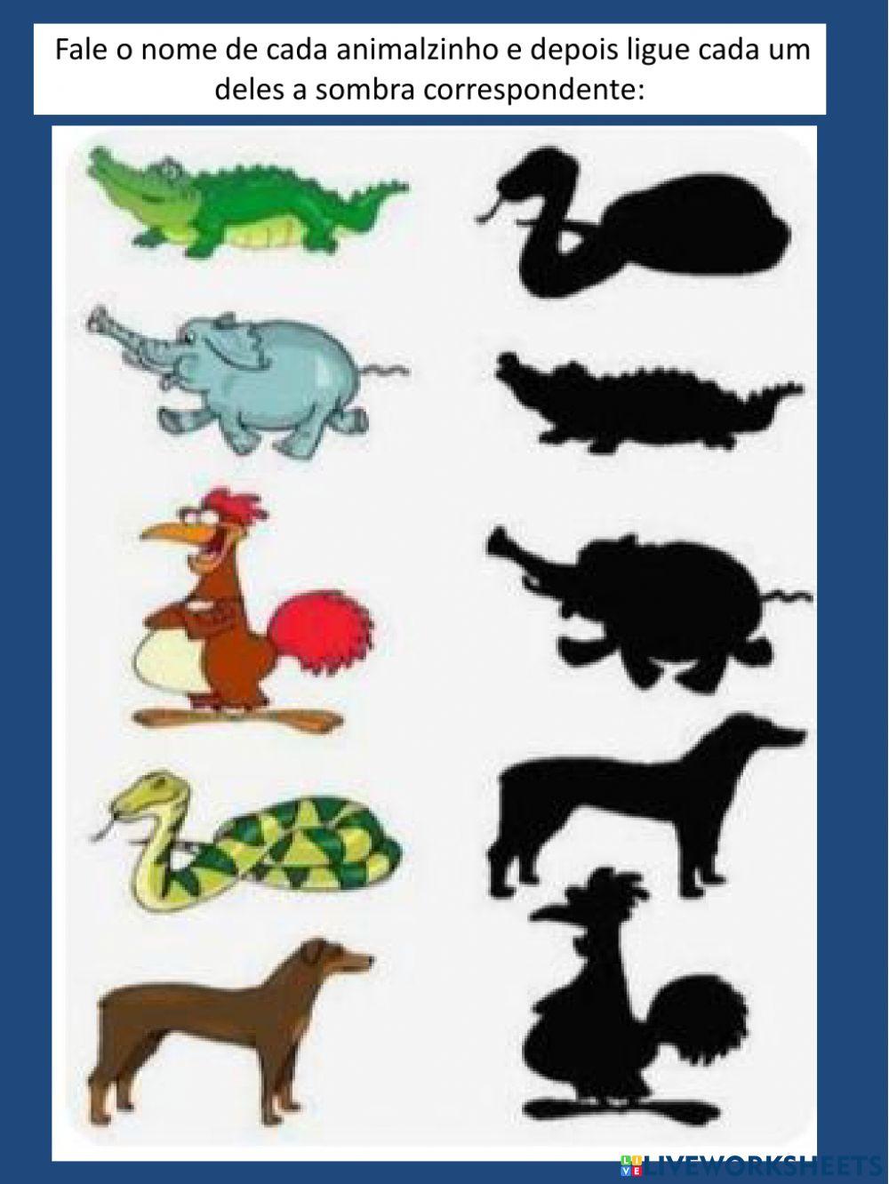 Conhecendo os animais