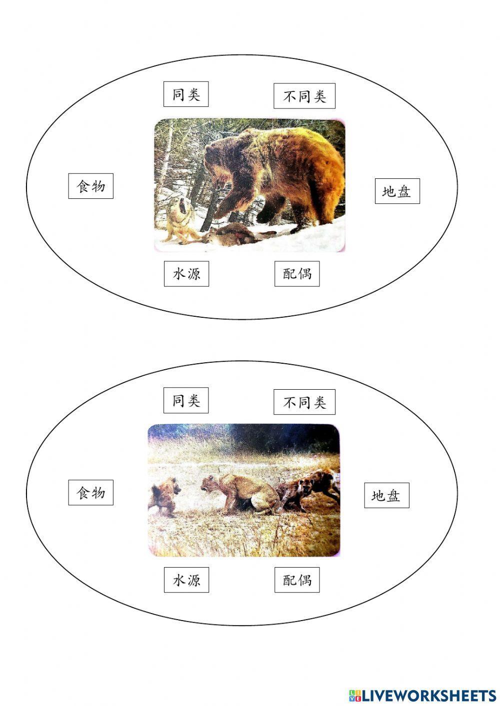 动物之间的相互关系