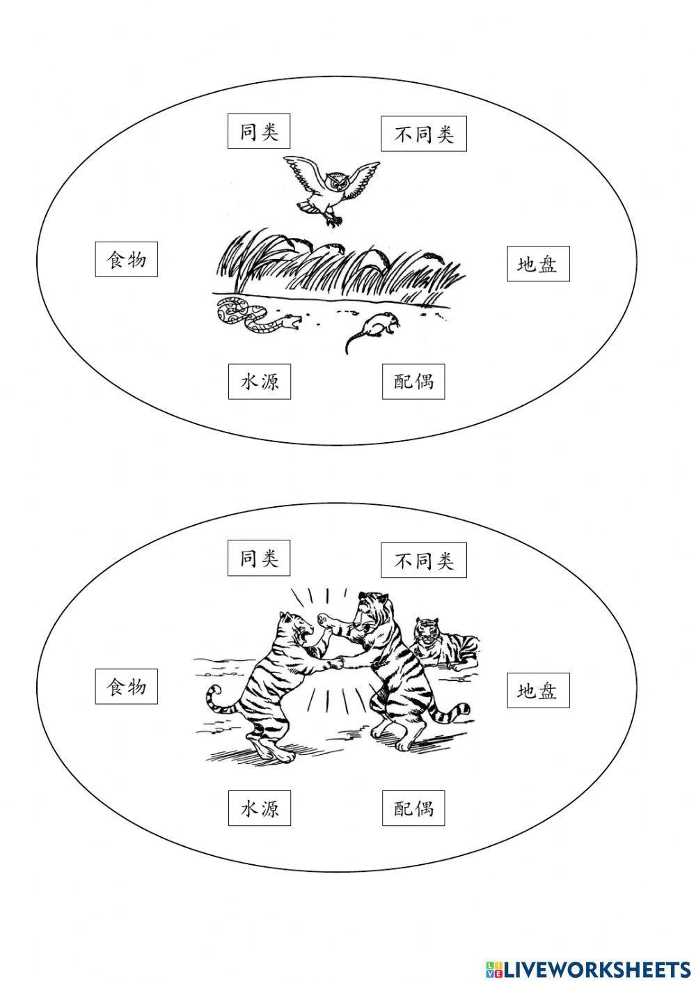 动物之间的相互关系