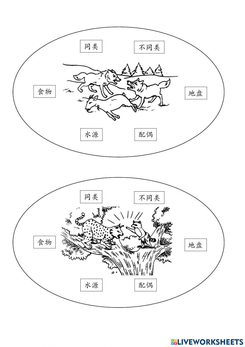 动物之间的相互关系