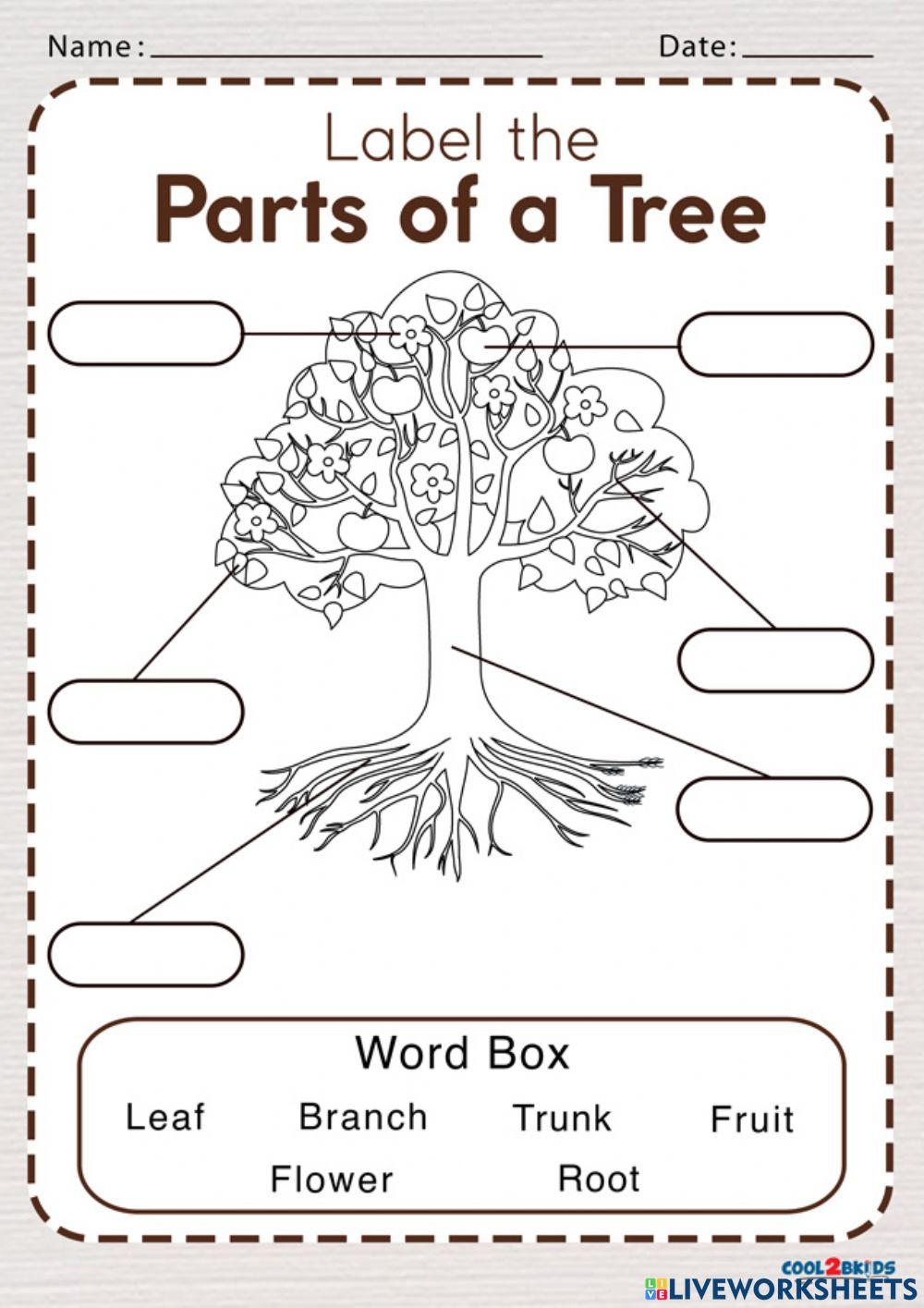 Parts of a tree interactive activity Live Worksheets