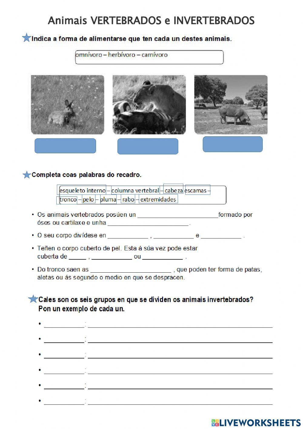 Animais vertebrados e invertebrados