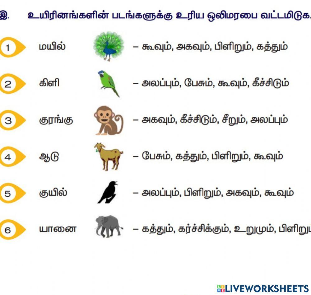 ஒலி மரபு சொற்கள்