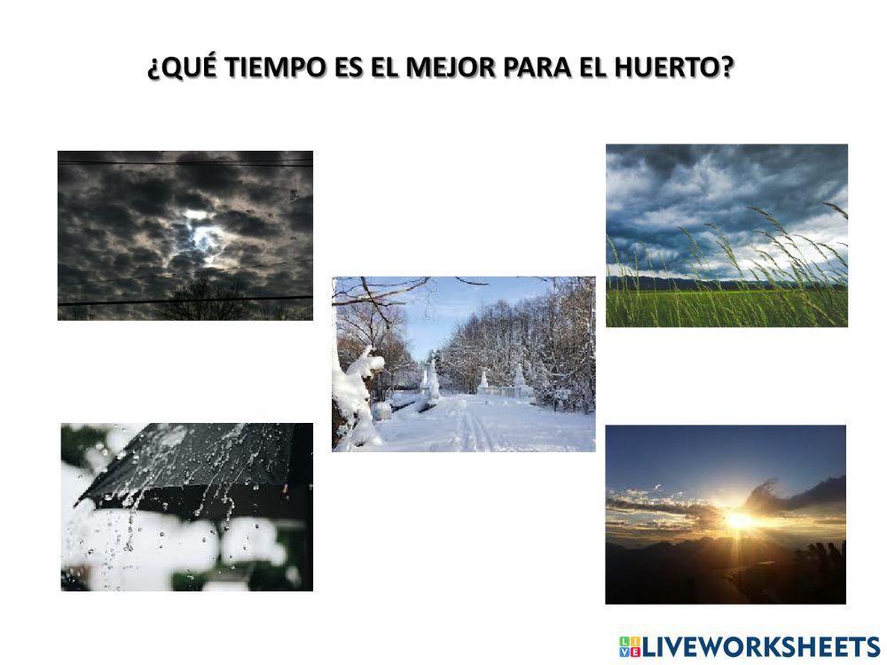 ¿Qué tiempo es el mejor para el huerto?