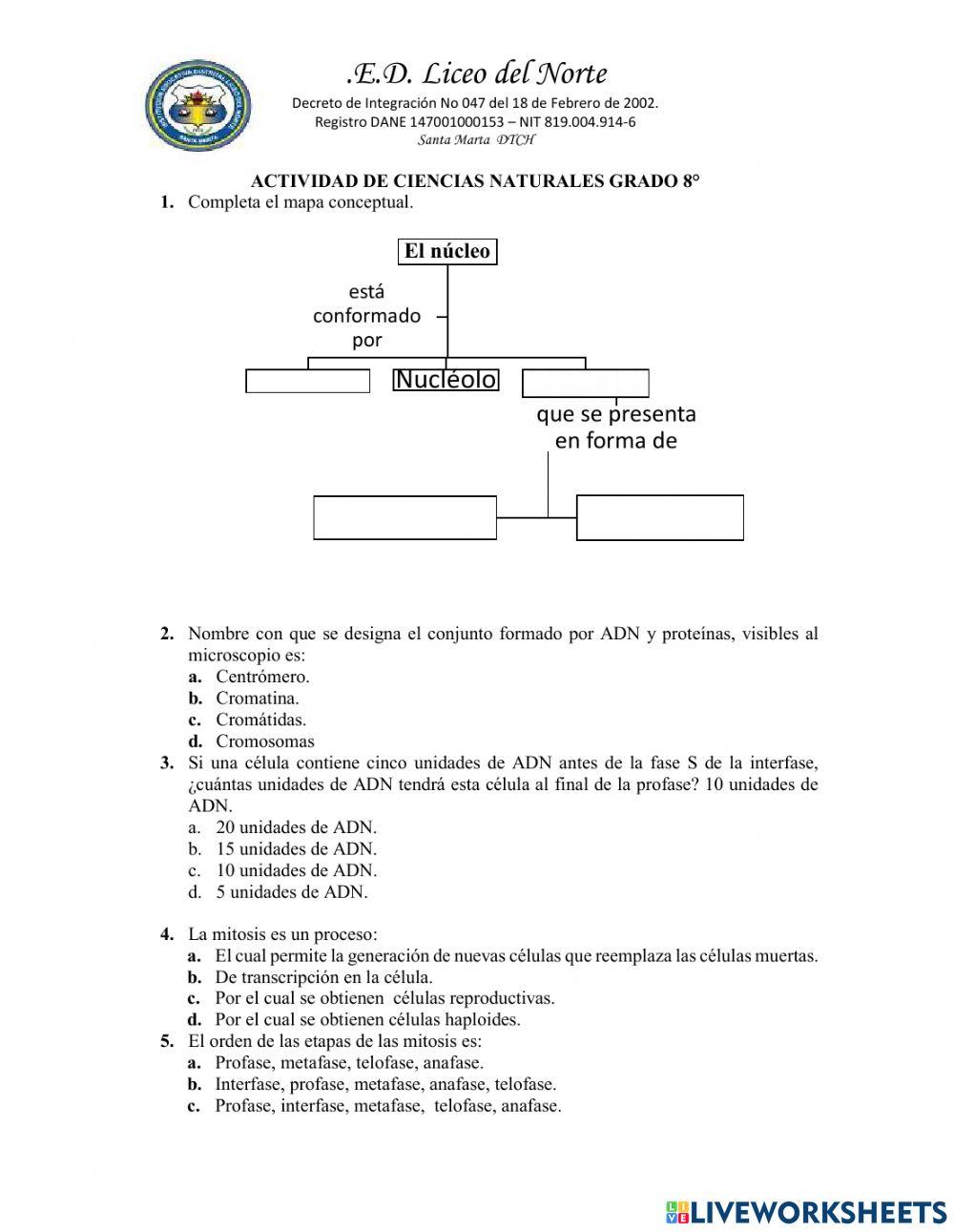 Actividad de reproducción celular mitosis