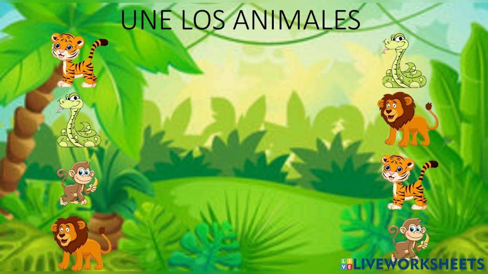 Une los animales de la selva