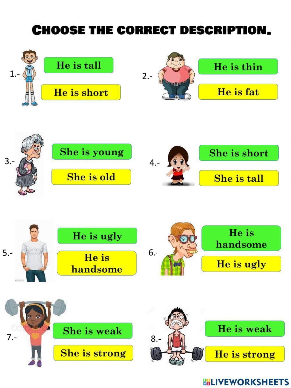 Physical Descriptions interactive worksheet for Quinto de primaria ...