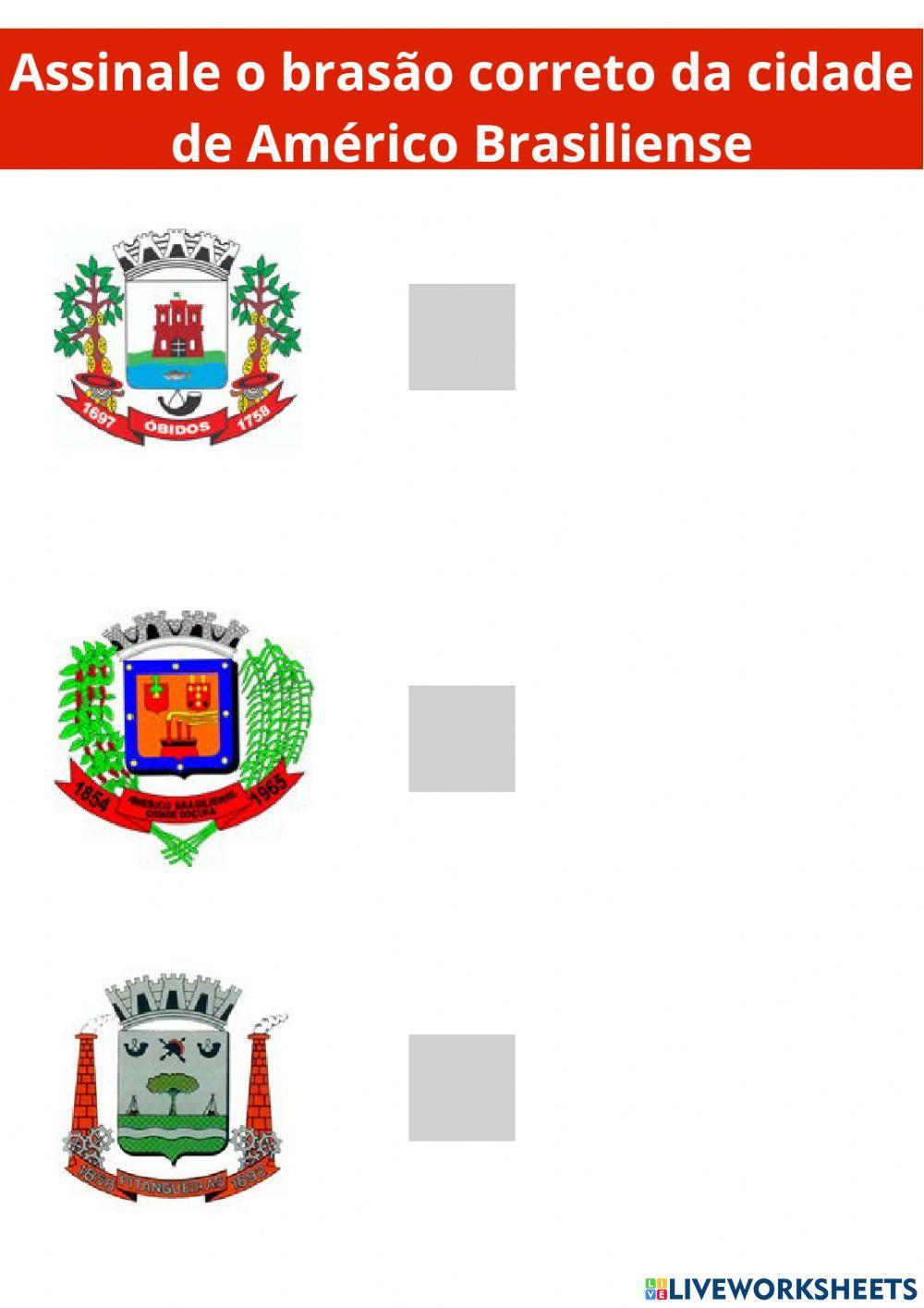 Americo Brasiliense1