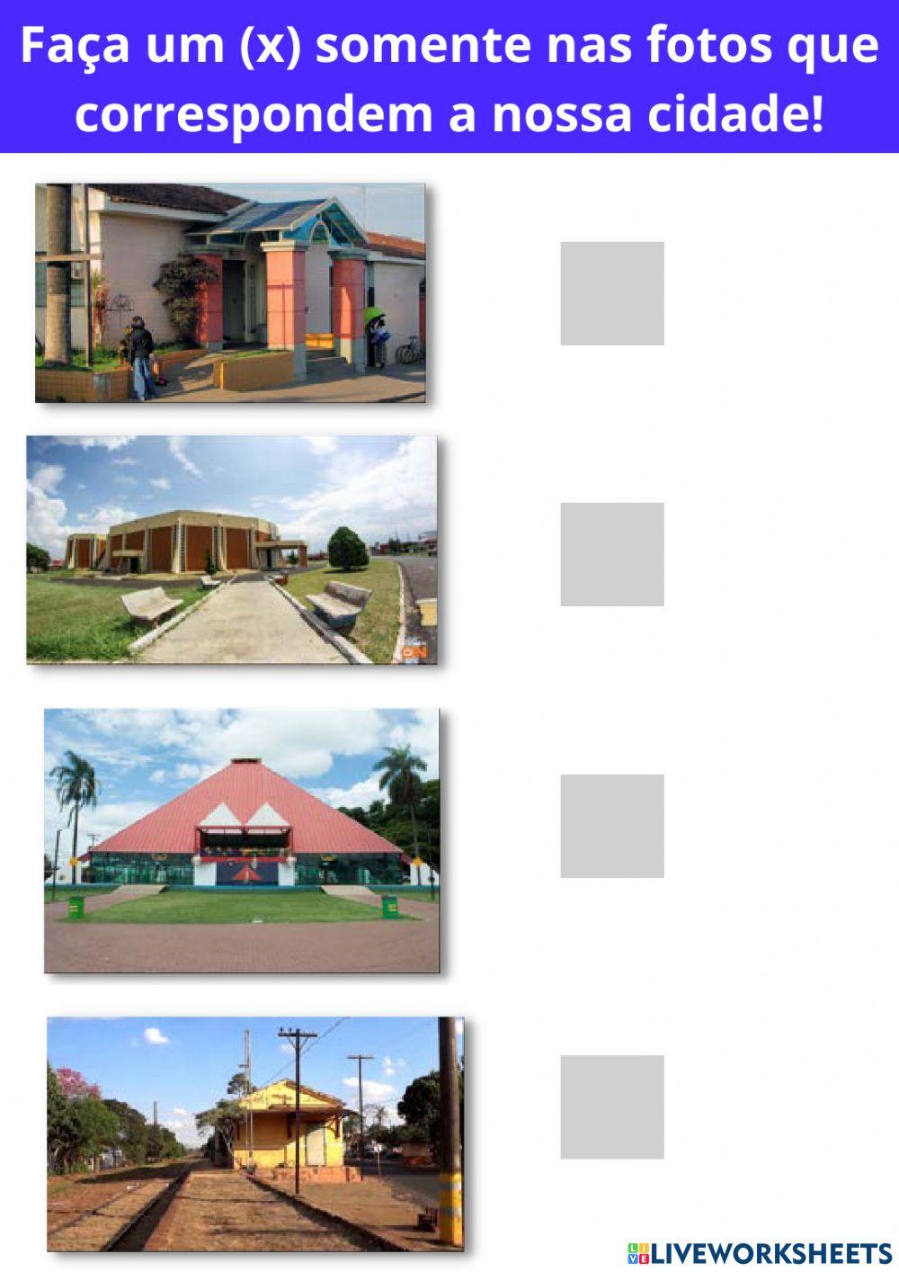 Americo Brasiliense1