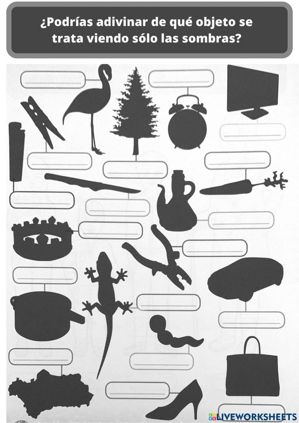 Vocabulario Vocabulario