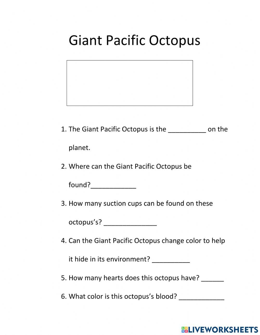 Giant Pacific Octopus Giant Pacific Octopus