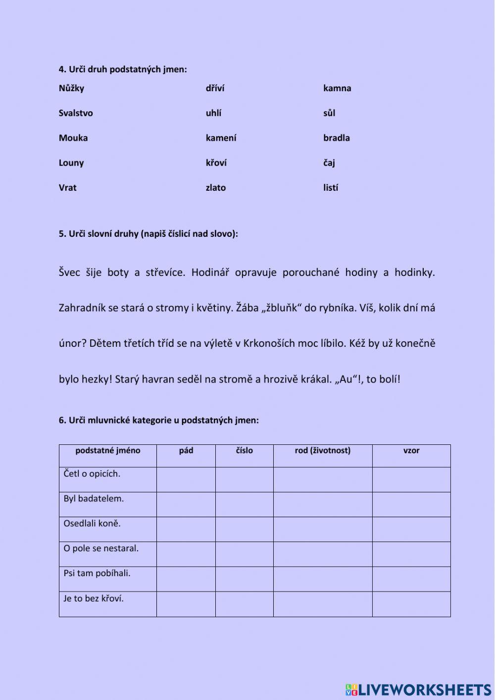 Podstatná jména - opakování 2