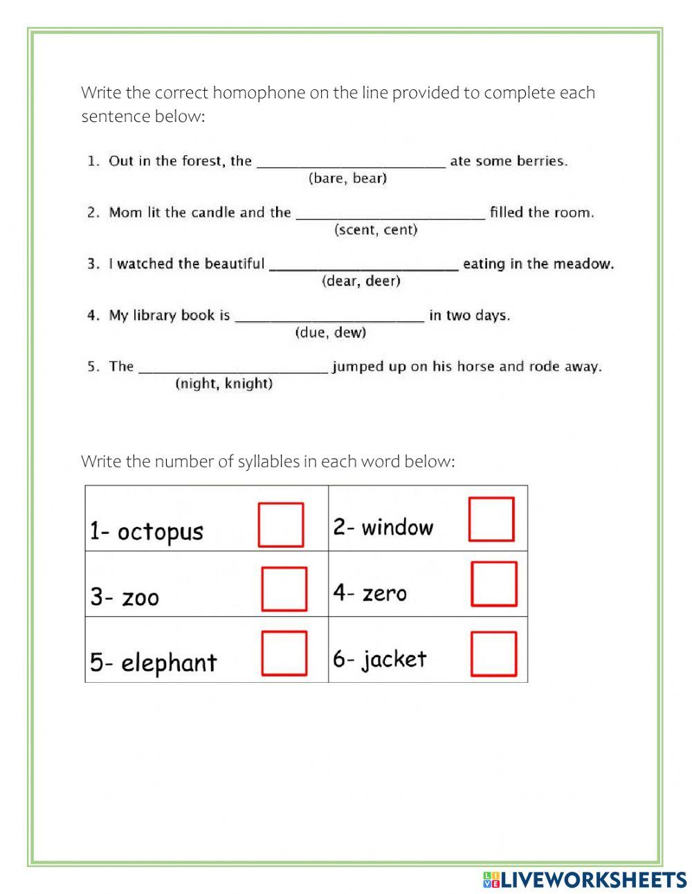Phonics and Vocabulary Evaluation