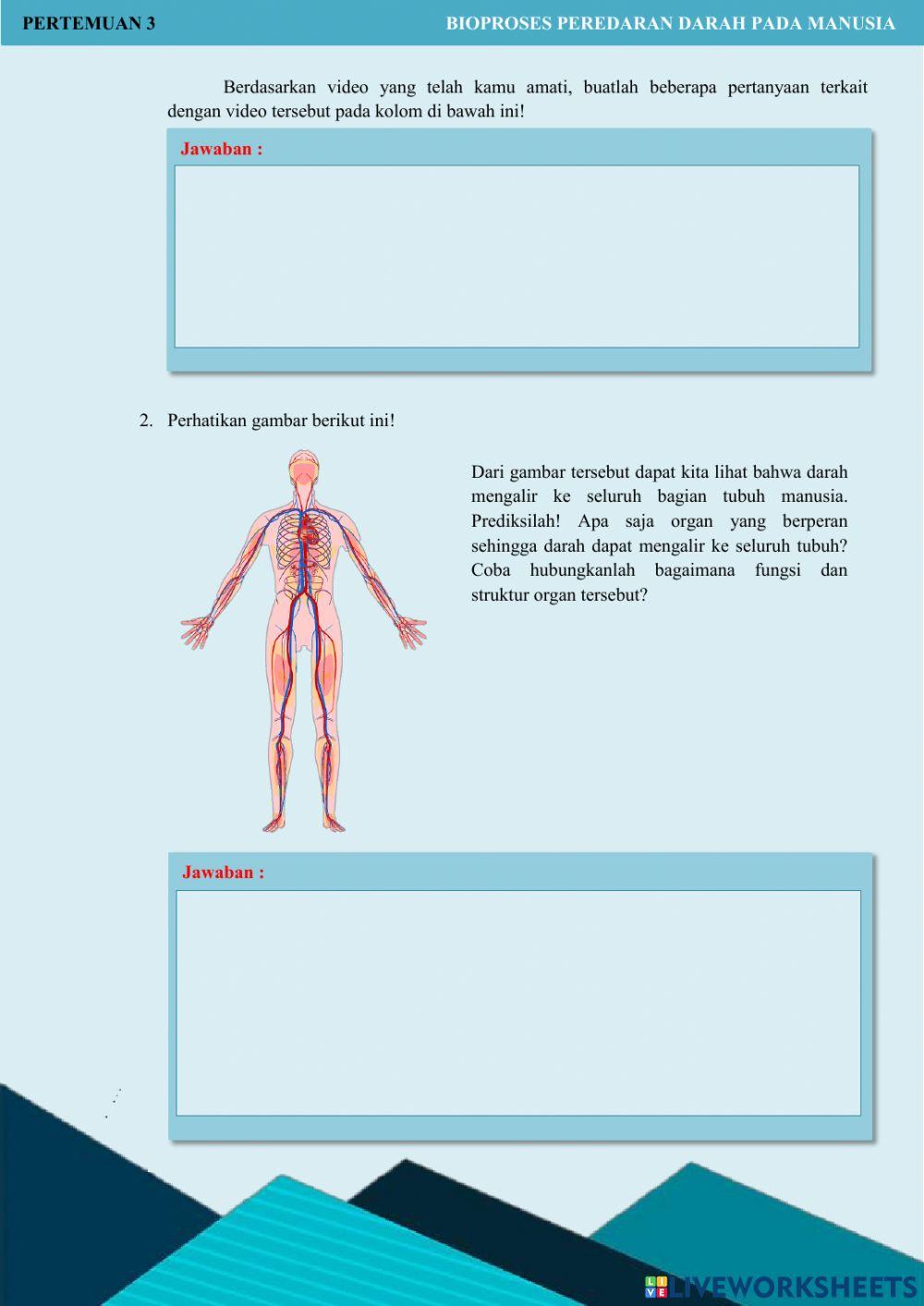 LKPD Bioproses Peredaran Darah pada Manusia