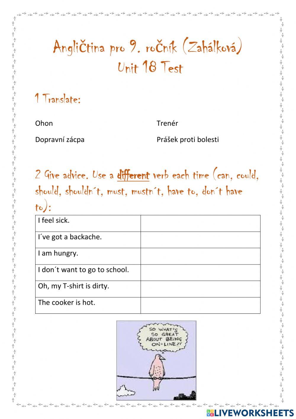 Angličtina 9 - test 18