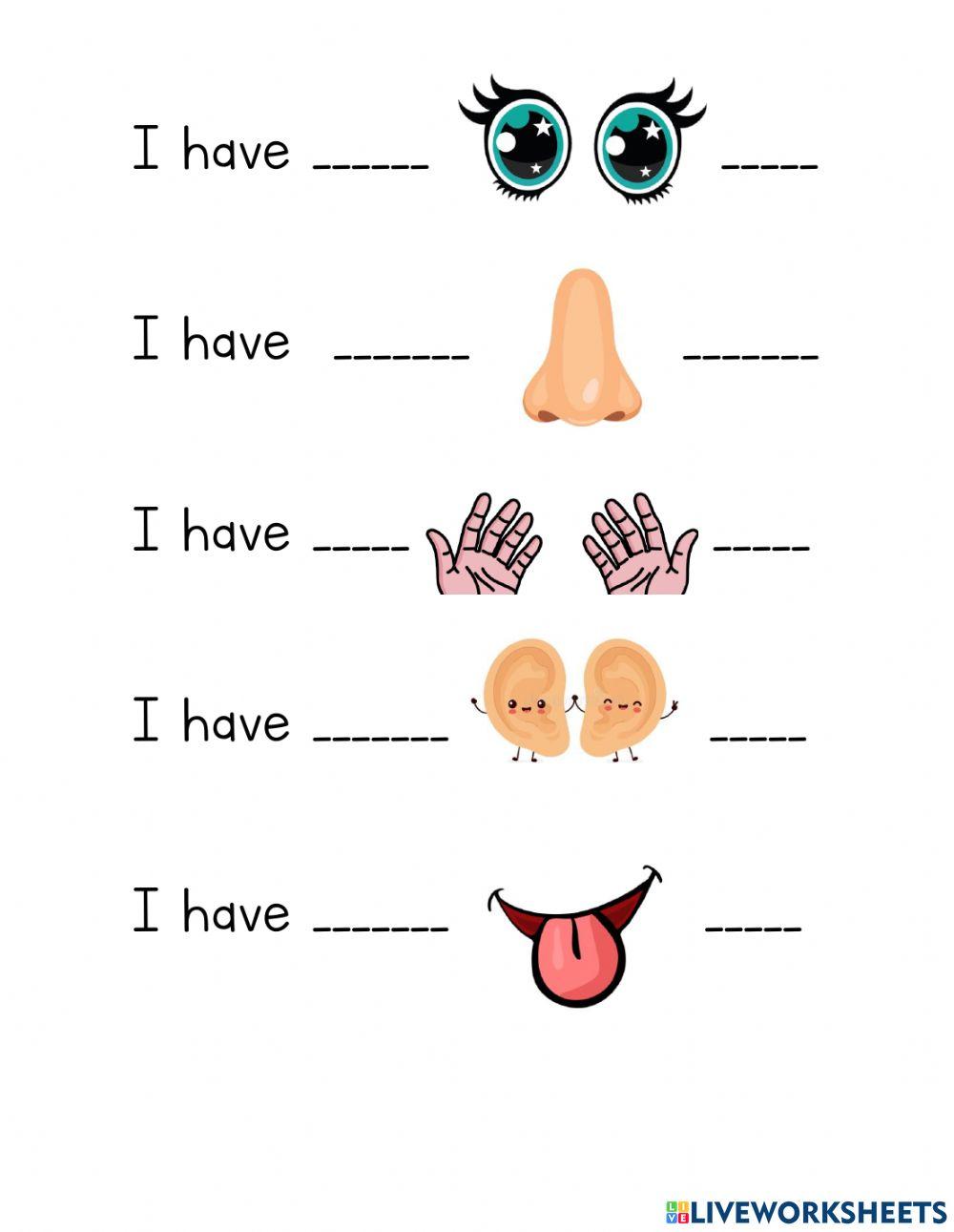 Body parts related to senses