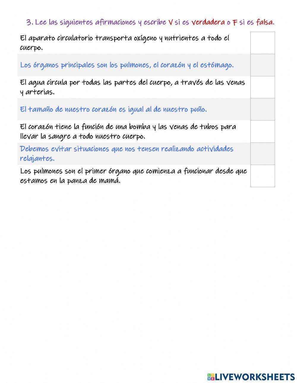 Sistema circulatorio