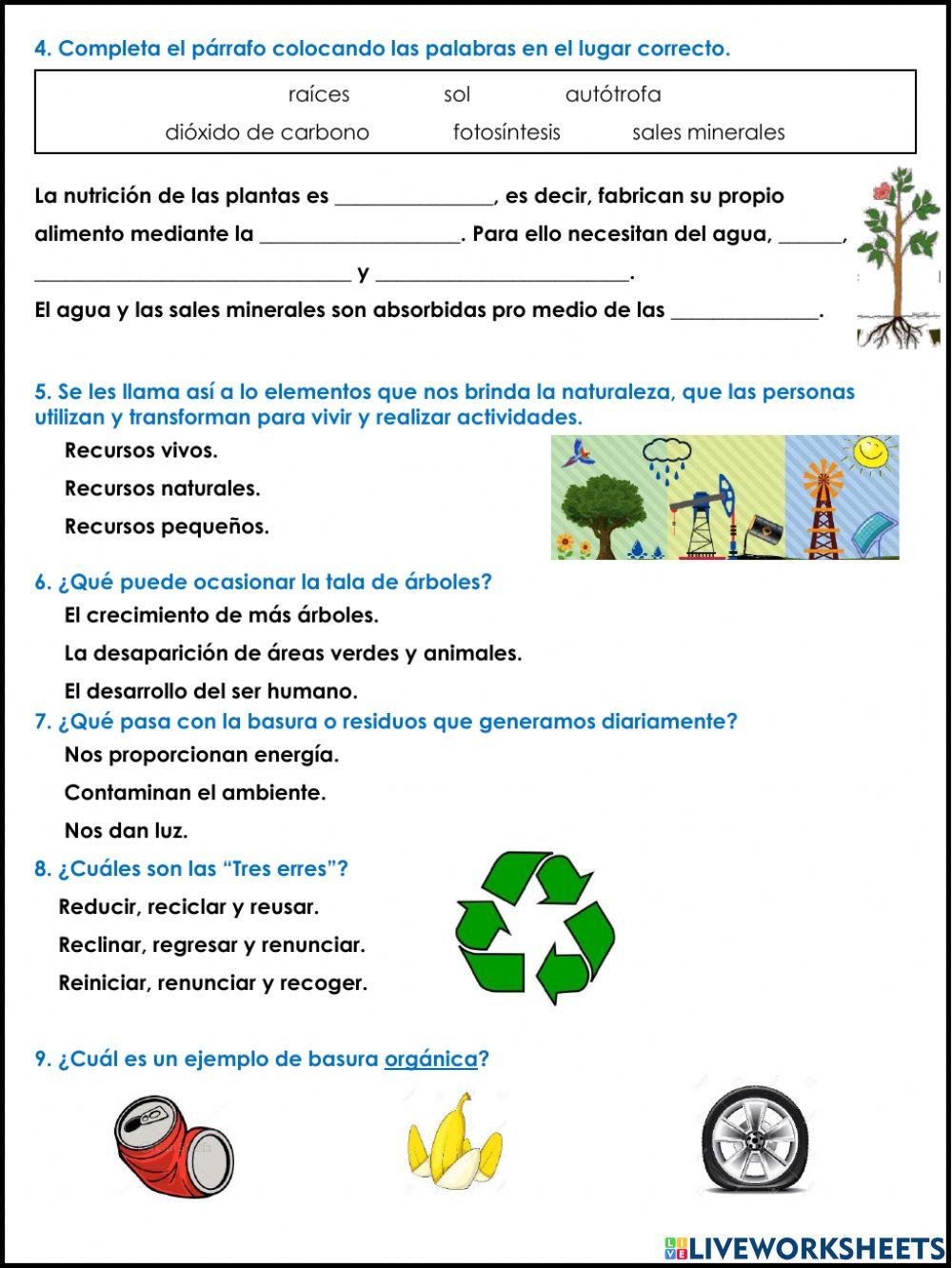 Examen de Ciencias Naturales 2do trimestre