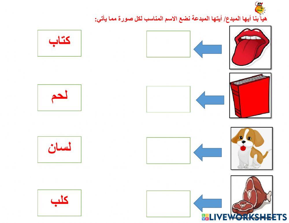أوراق متنوعة ك - ل