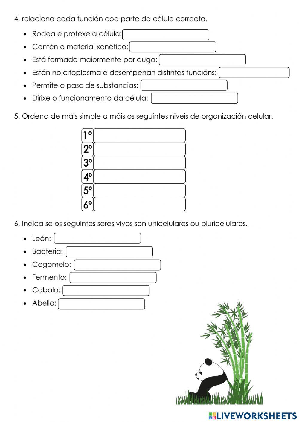 Chamada: seres vivos i
