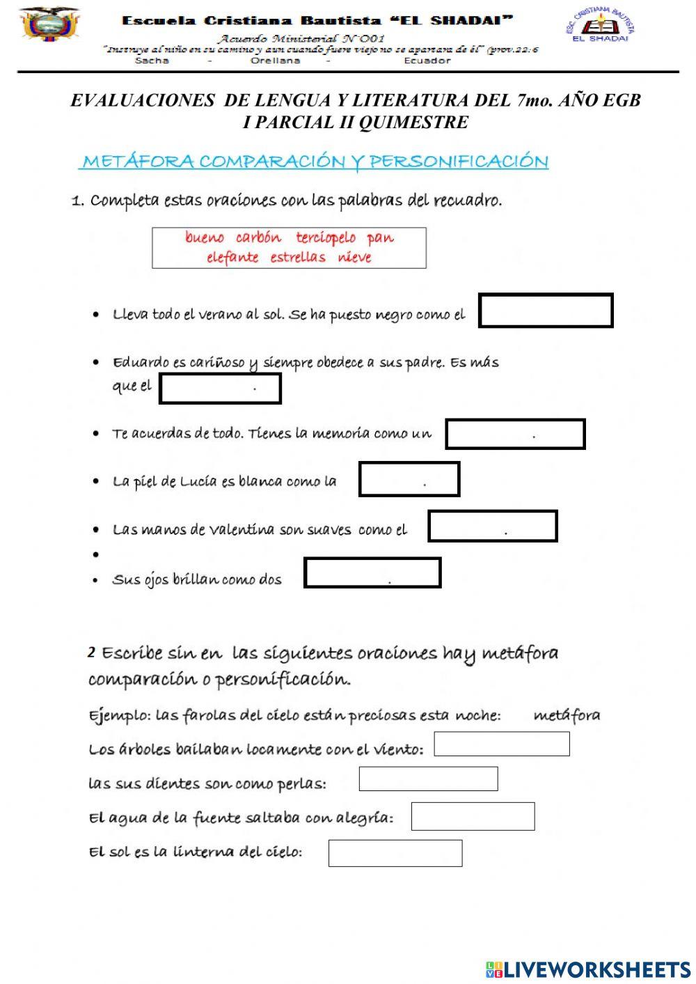 Evaluacion lengua y literatura