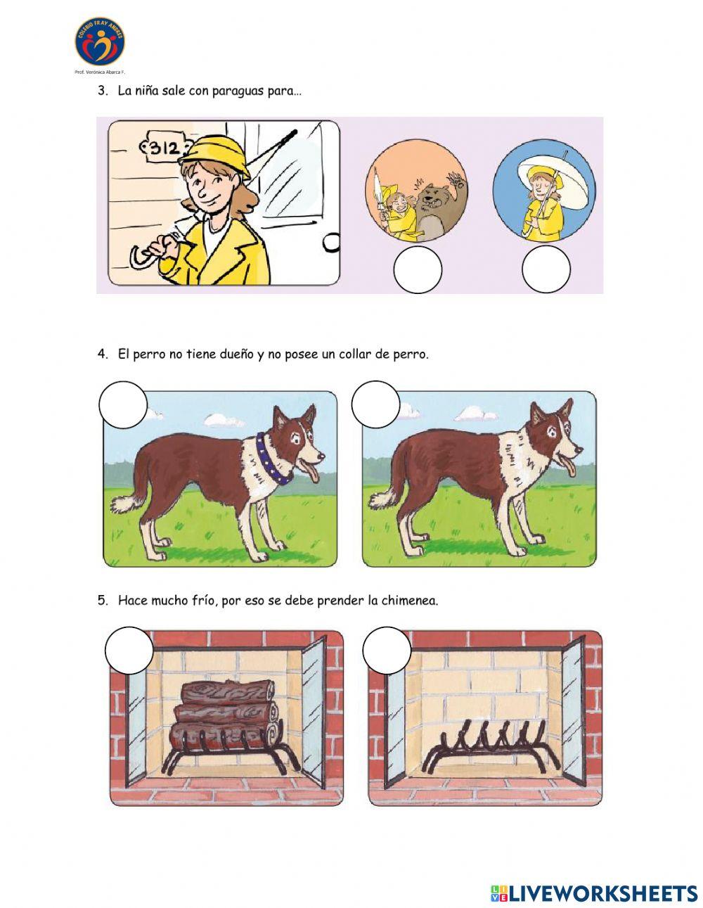 Evaluación diagnóstica lenguaje primero básico