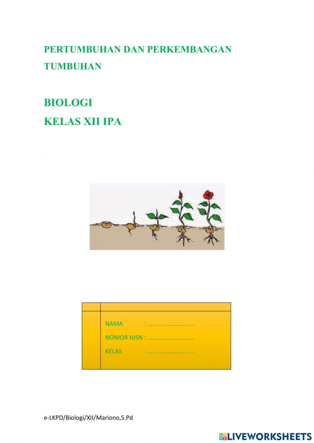 LKPD Pertumbuhan dan Perkembangan Tumbuhan