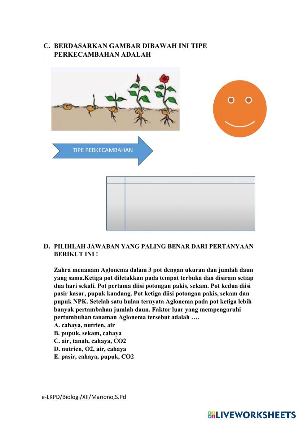 LKPD Pertumbuhan dan Perkembangan Tumbuhan