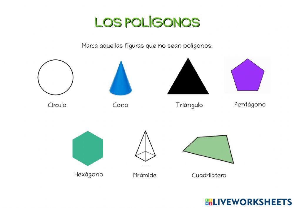 Los polígonos