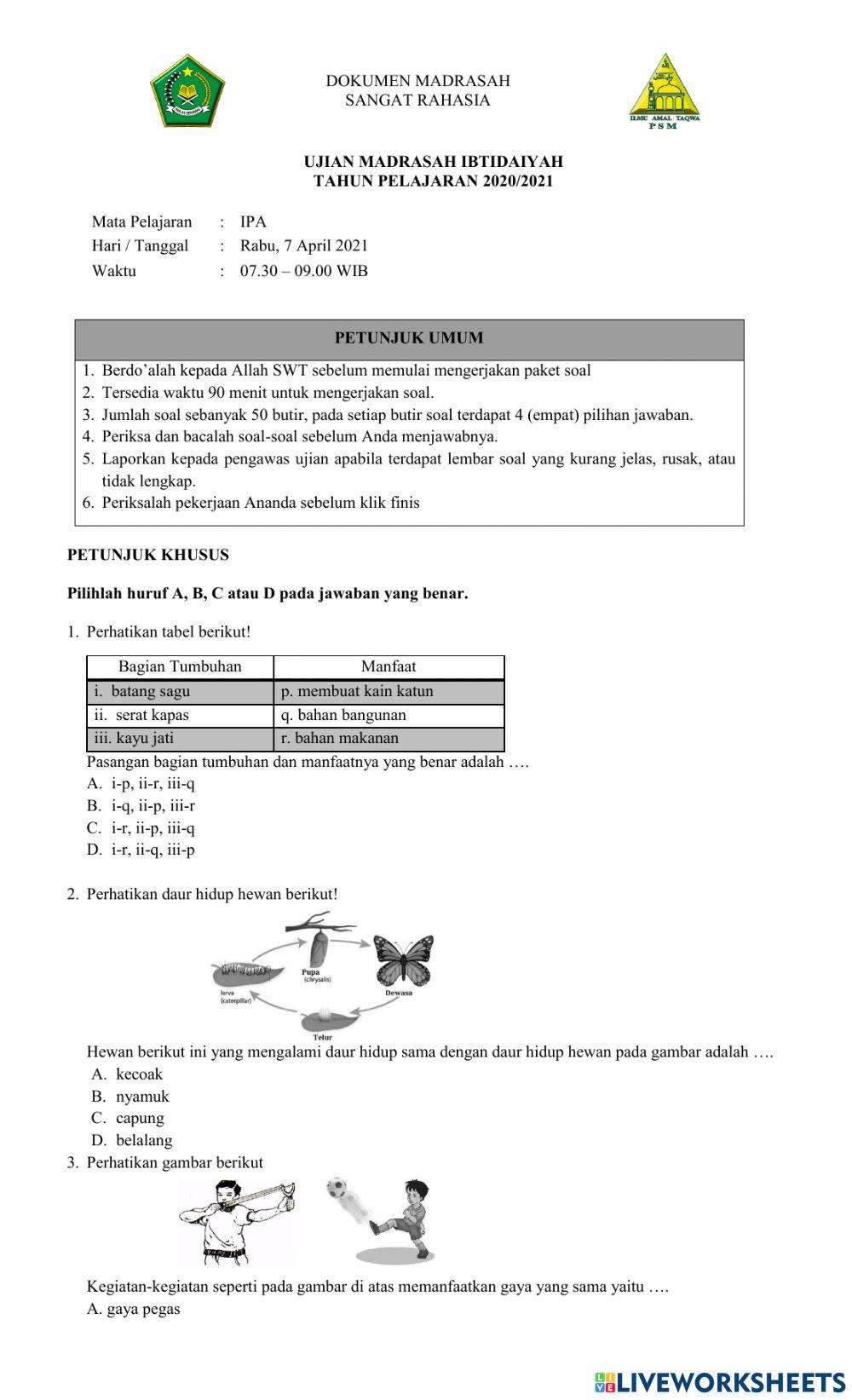 UM Ilmu Pengetahuan Alam