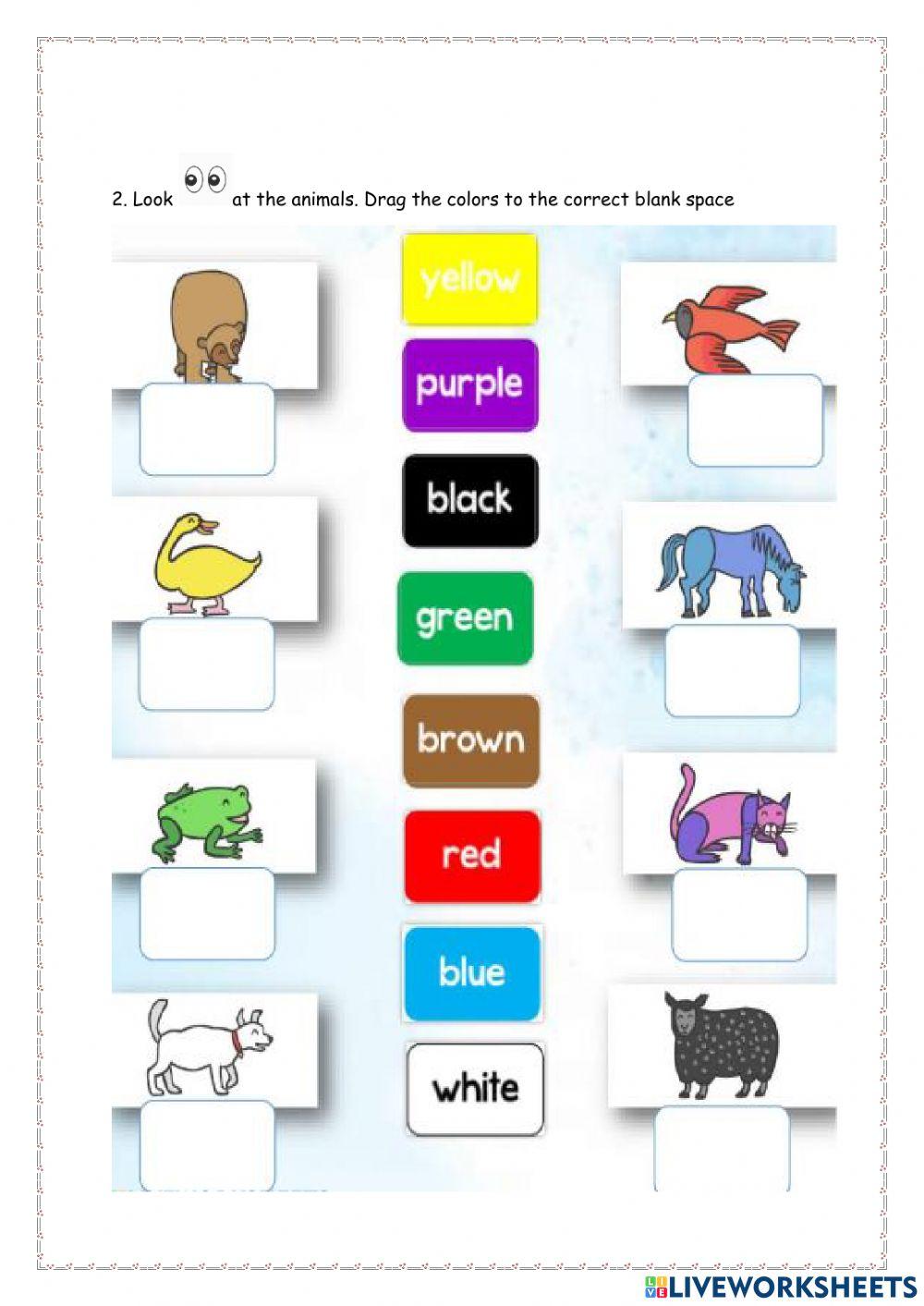 second graders: exam can.cant- present continuous