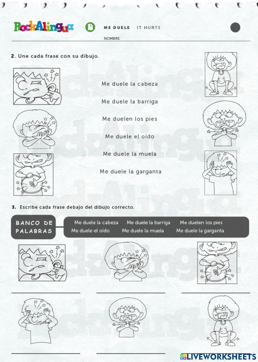 Los partes del cuerpo