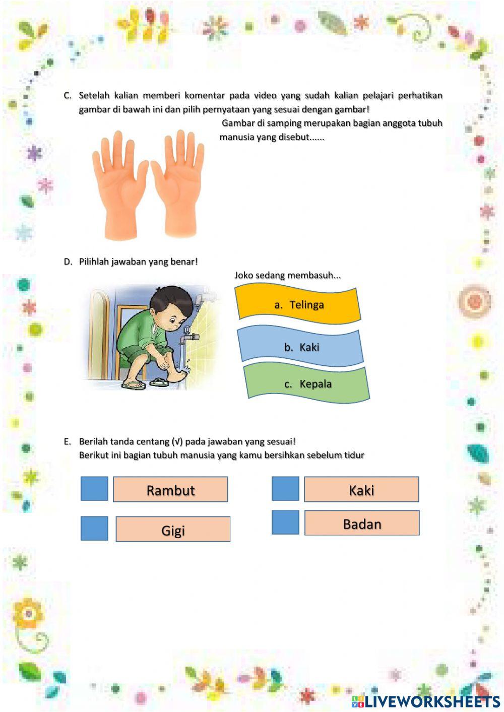 Bagian Tubuh Manusia