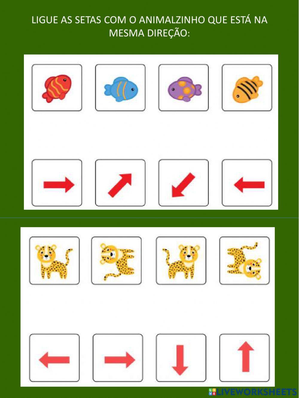 Orientação espacial