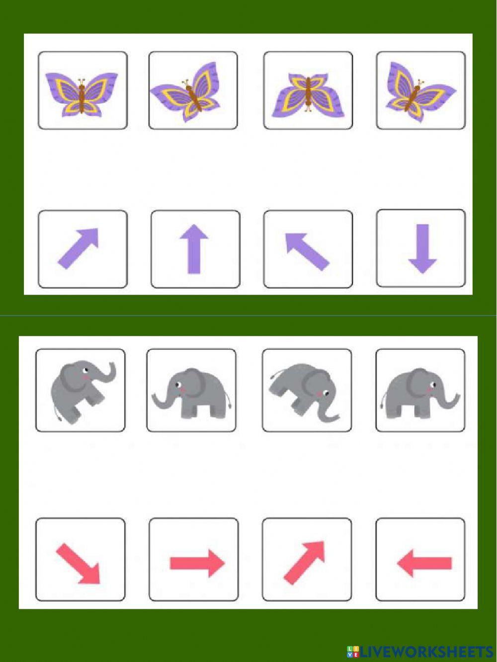 Orientação espacial