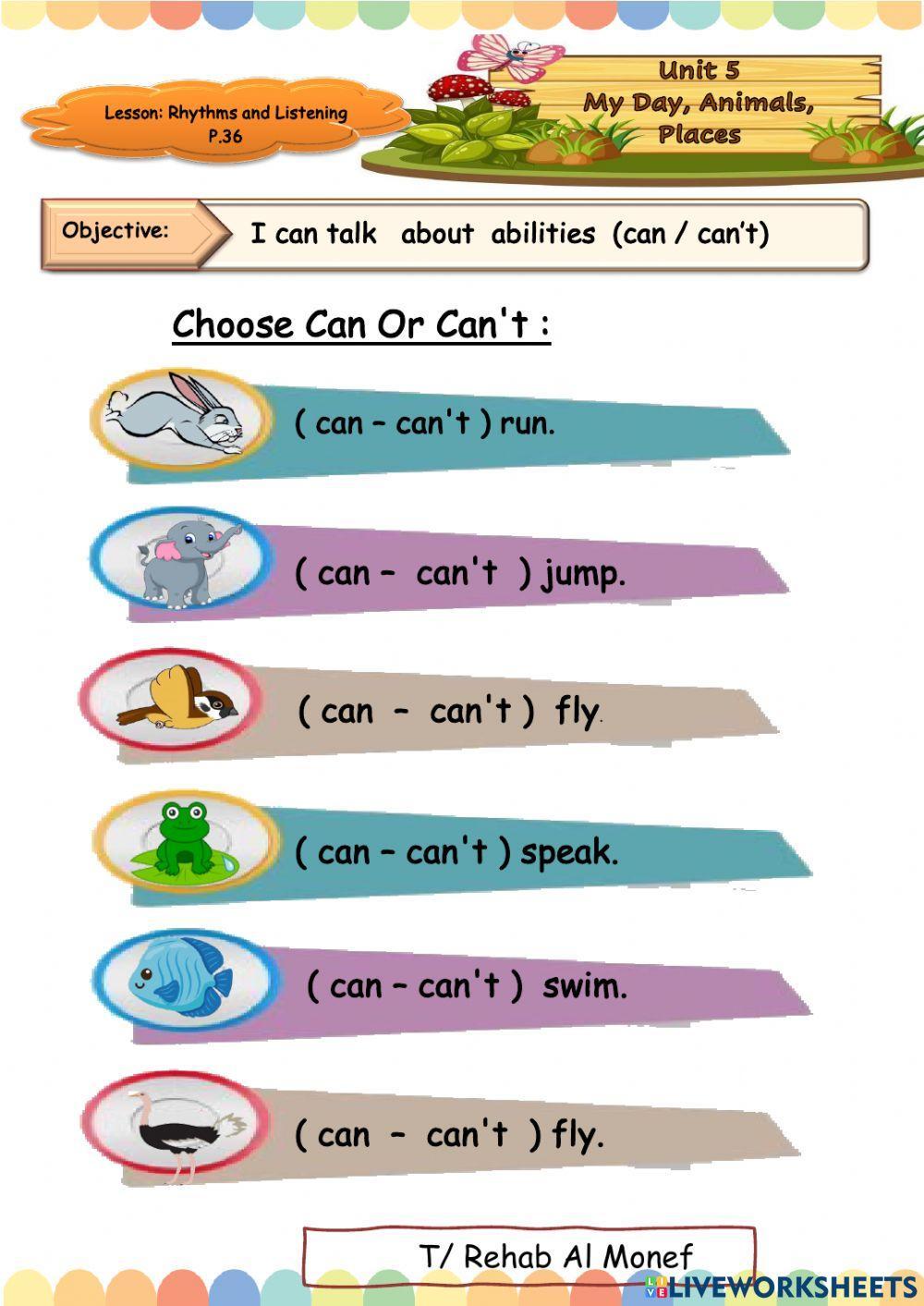 Can for animals unit 5 lesson 3