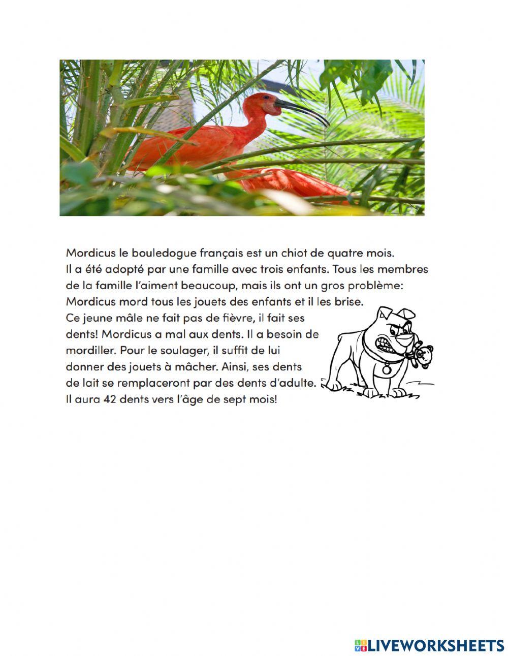 Animaux Animaux