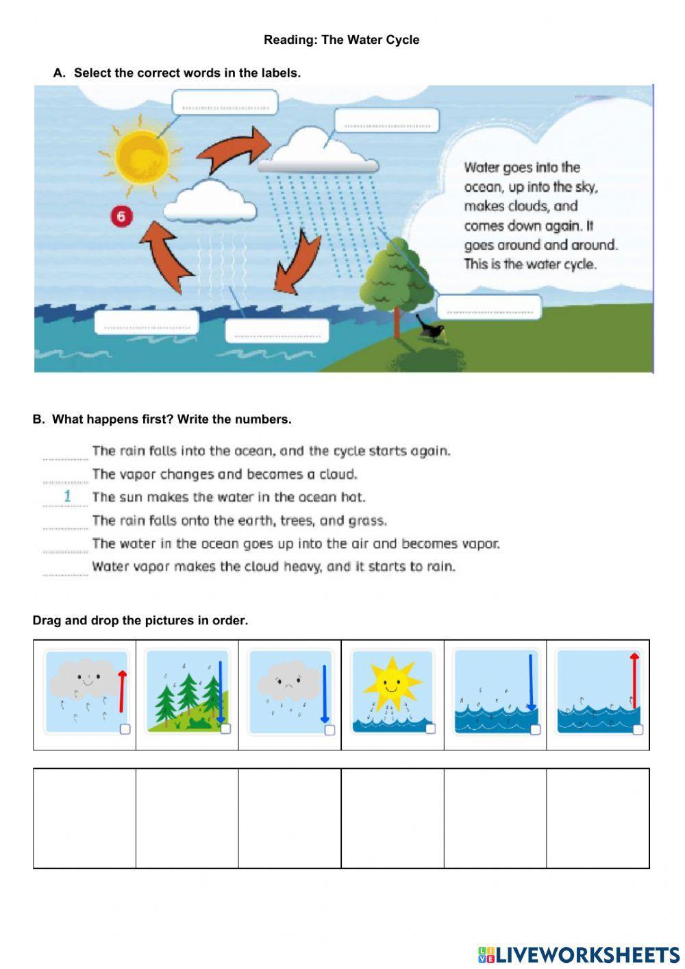 Reading: The Water Cycle