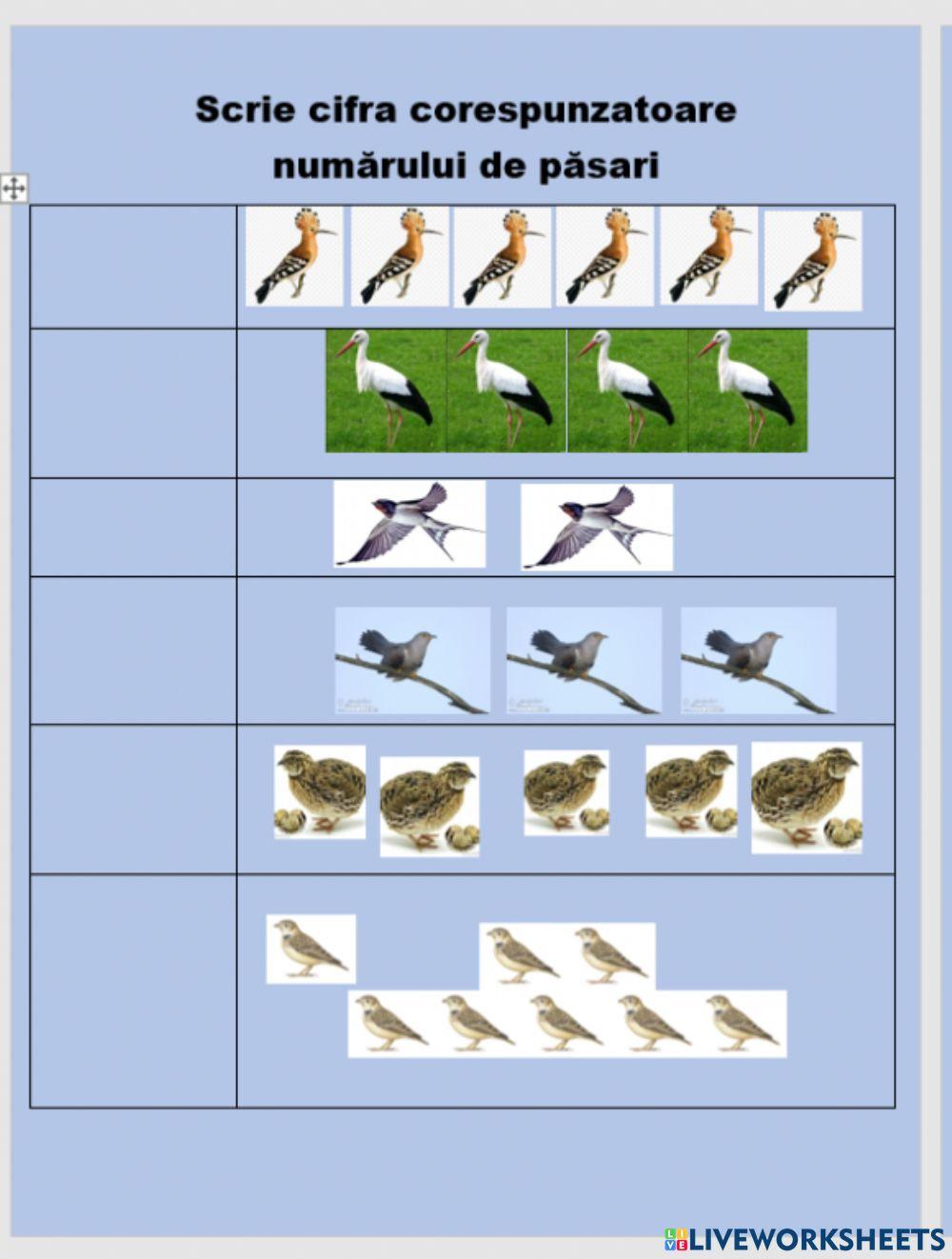 Scrie cifra corespunzatoare