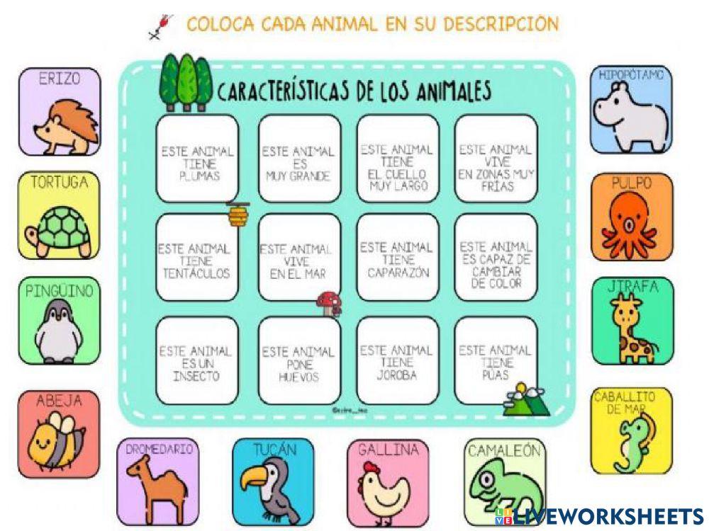 Adjetivos calificativos