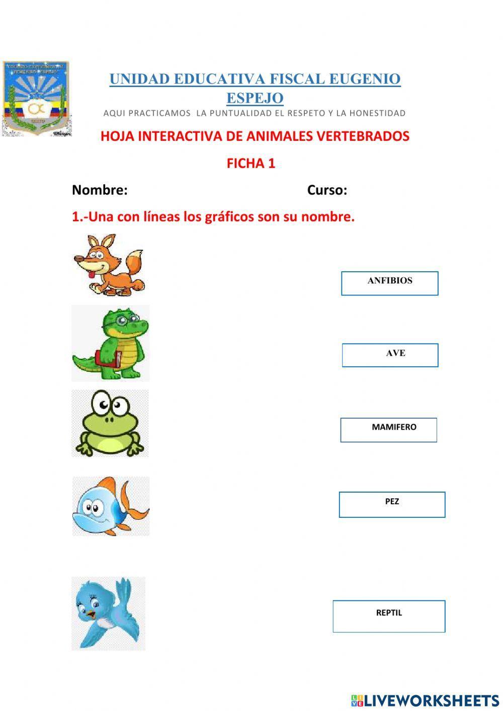 Animales Vertebrados