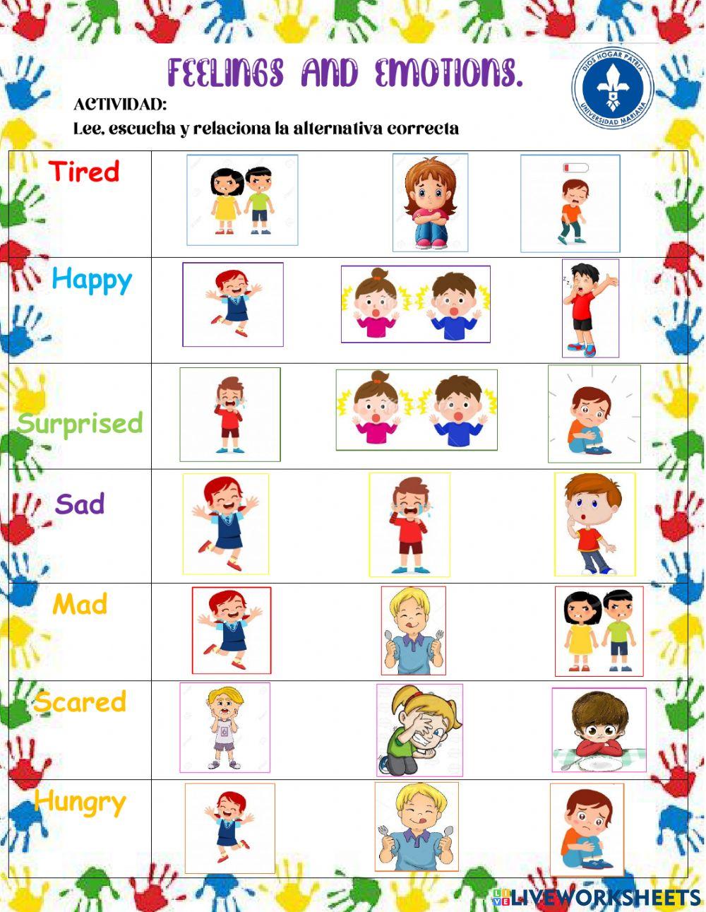 The feelings and emotions