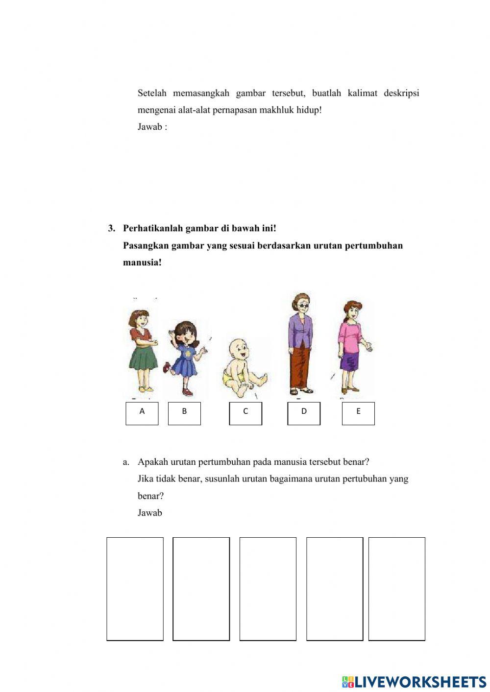 Lkpd bahasa ciri makhluk hidup