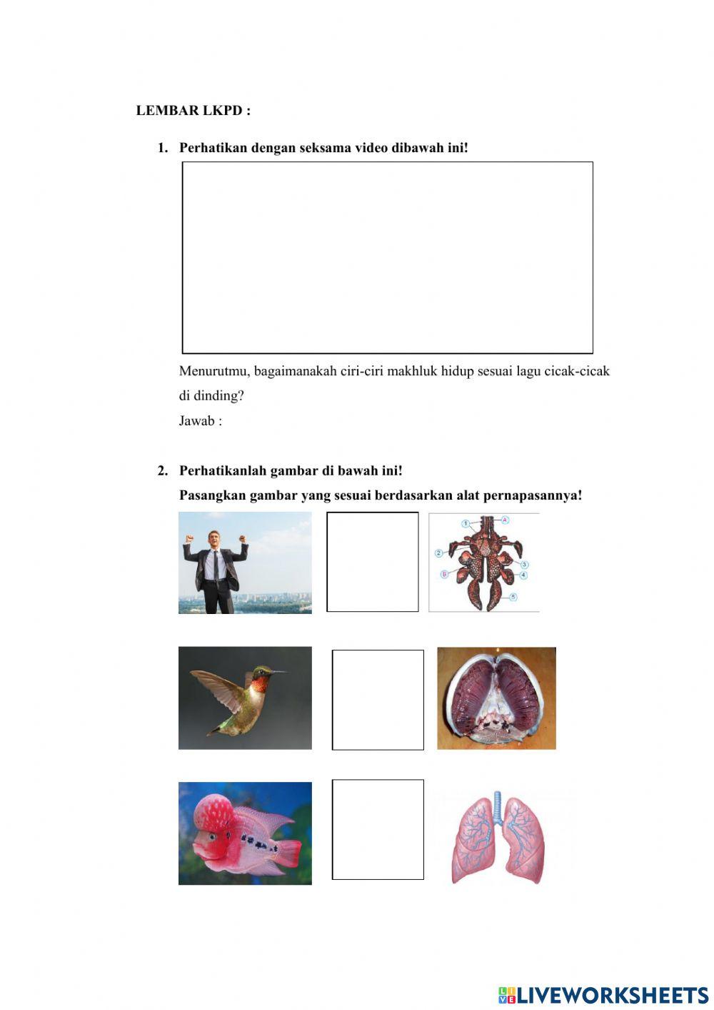 LKPD dimulas mikroteachng 6C