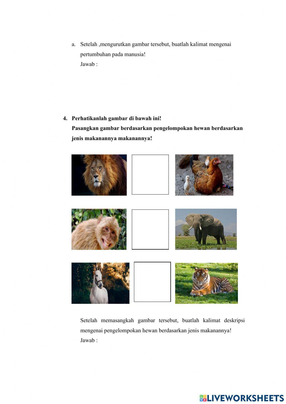 LKPD dimulas mikroteachng 6C