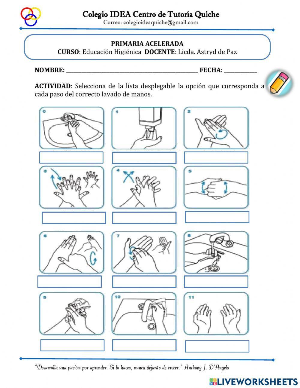 Pasos para el lavado de manos
