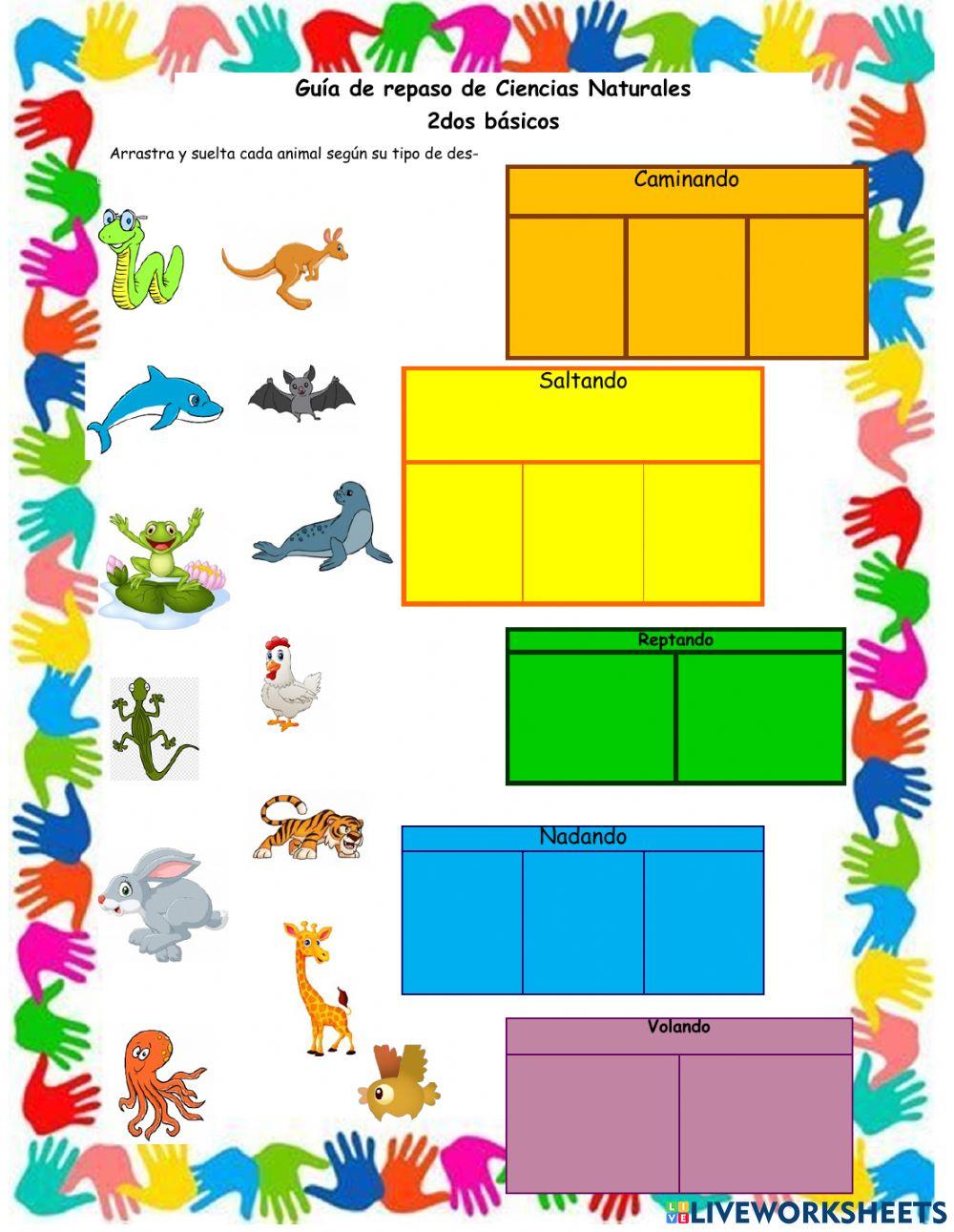 Algunas características de los animales